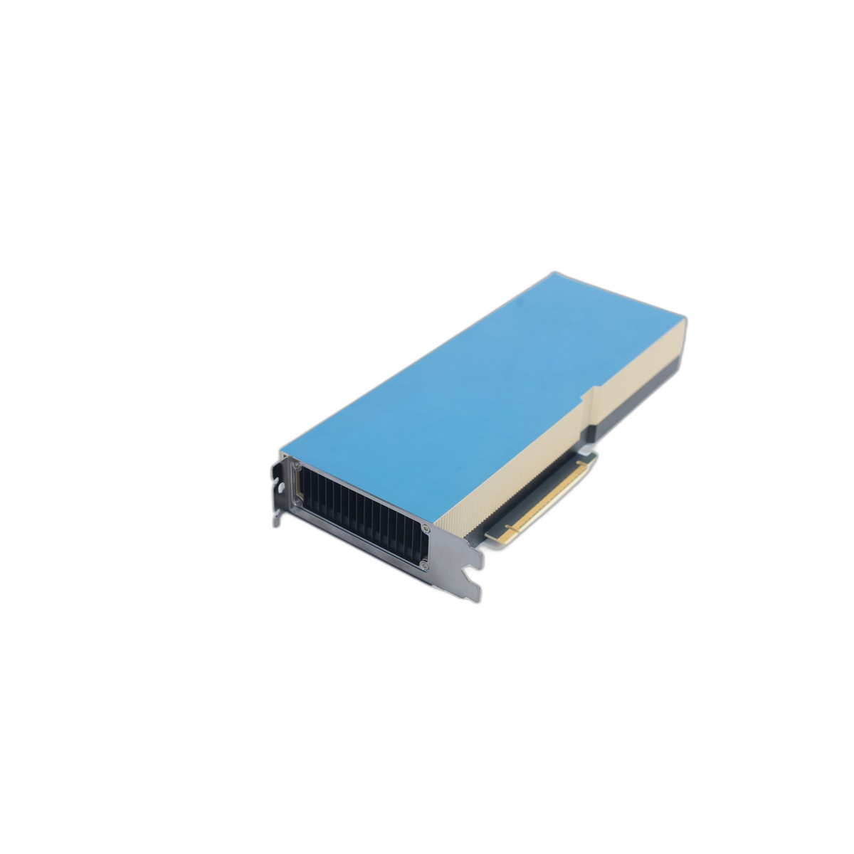 Scheda Grafica Professionale N - Ai Deep Learning Workstation Gpu 24Gb recensione e prezzo